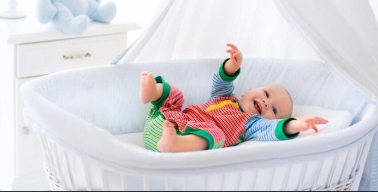 fisher price portable bassinet reviews