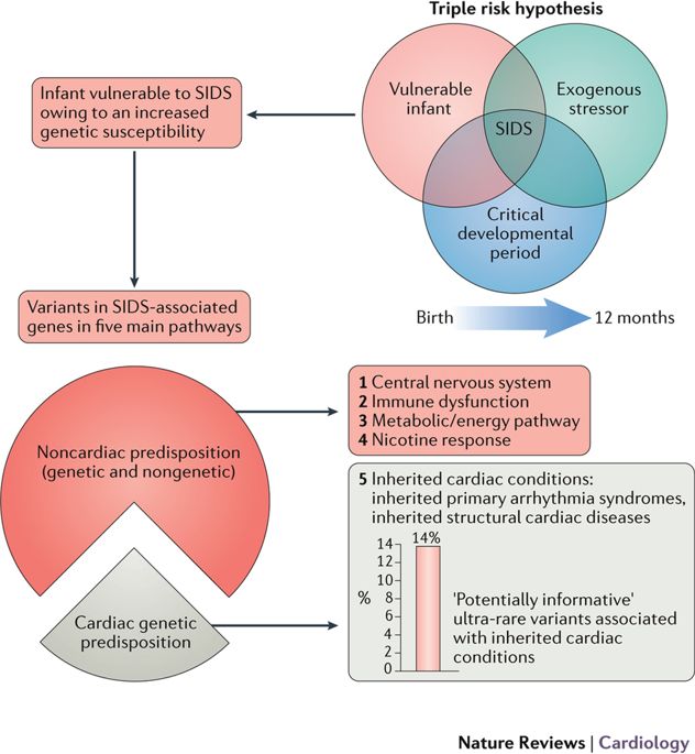 Sids Risk Chart