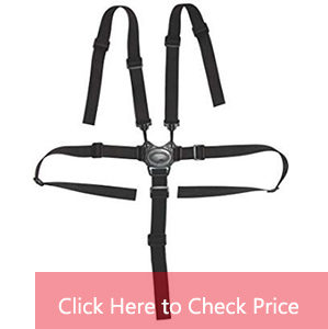 5 point harness for airplane