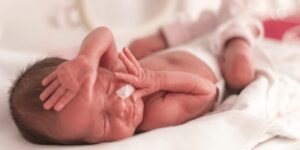 premature baby survival rate