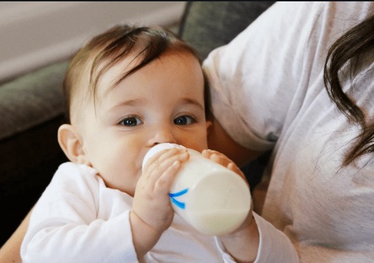 which formula milk is best for newborn