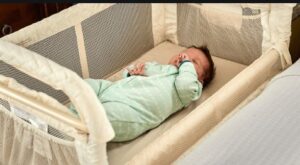 infant travel bassinet