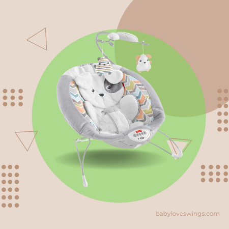 Swings for Babies Over 25 Pounds – Fisher-Price Snugapuppy Bouncer